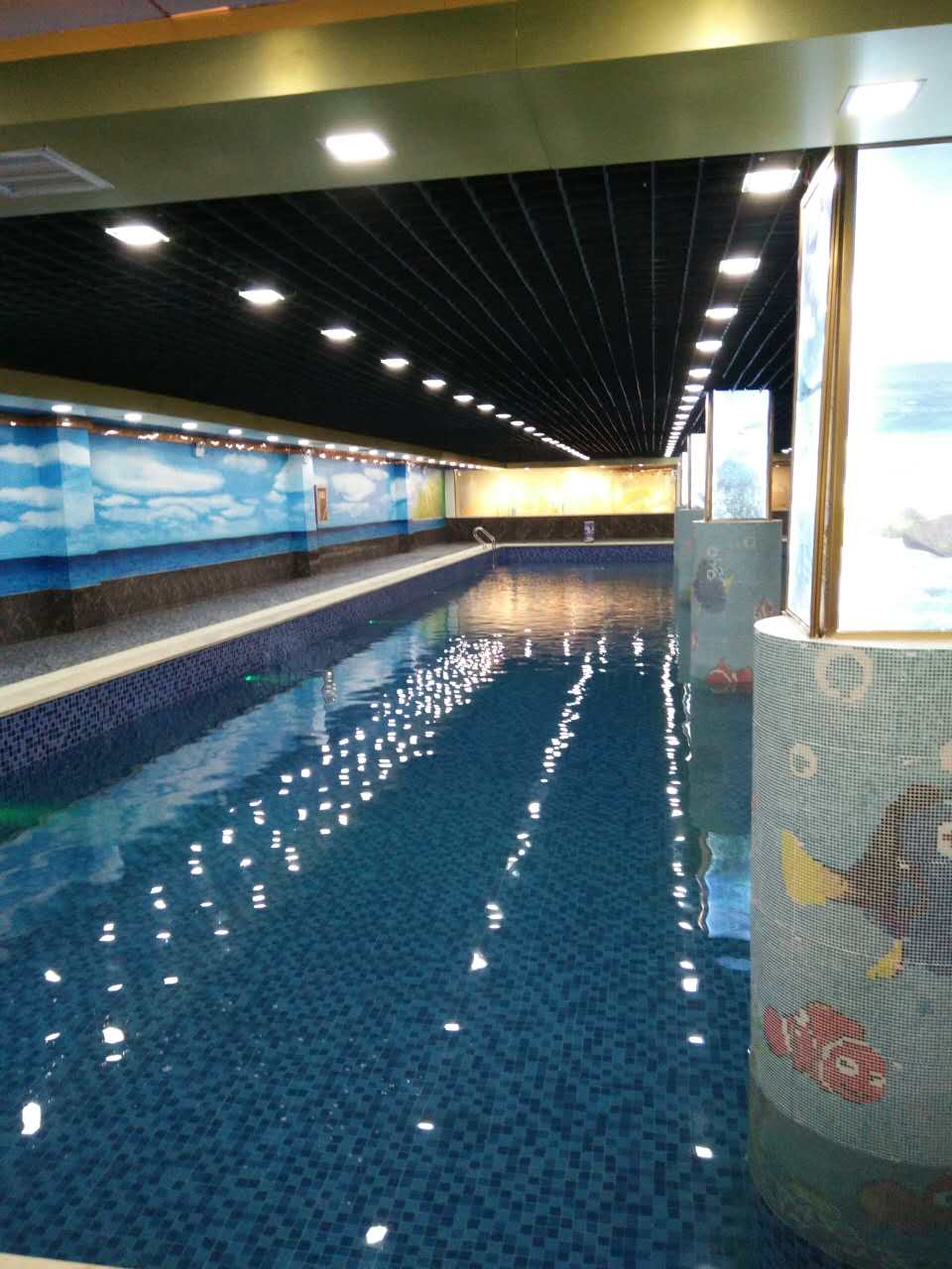 甘肅天水恒地產(chǎn)室內(nèi)恒溫泳池 甘肅天水恒地產(chǎn)室內(nèi)恒溫泳池